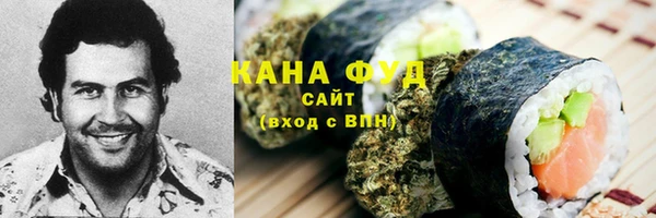 гидра Бронницы