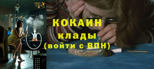 дмт Бородино