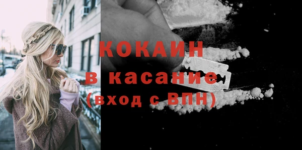 гидра Бронницы