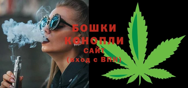 дмт Бородино