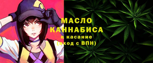 гидра Бронницы
