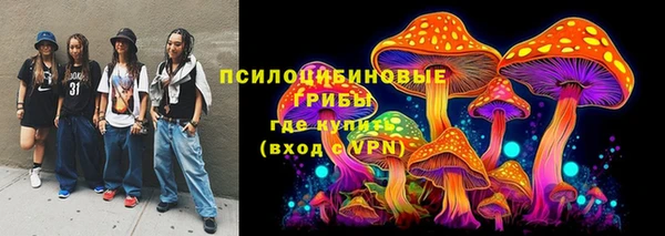 гидра Бронницы