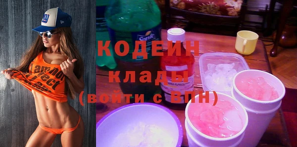 дмт Бородино