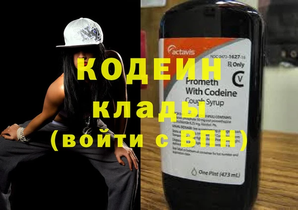 дмт Бородино