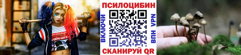 купить   Кузнецк  mega сайт  Псилоцибиновые грибы Cubensis 