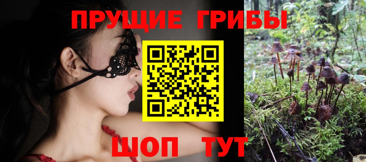 Alpha PVP Кузнецк